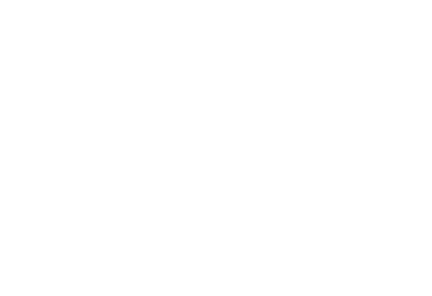 whitesigorta